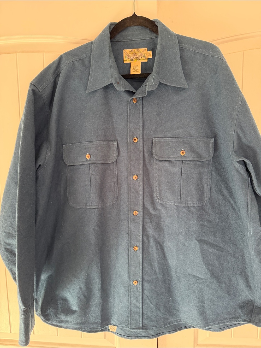 Cabela's Teal Blue Long-Sleeve Button-Down Chamois Work Shirt